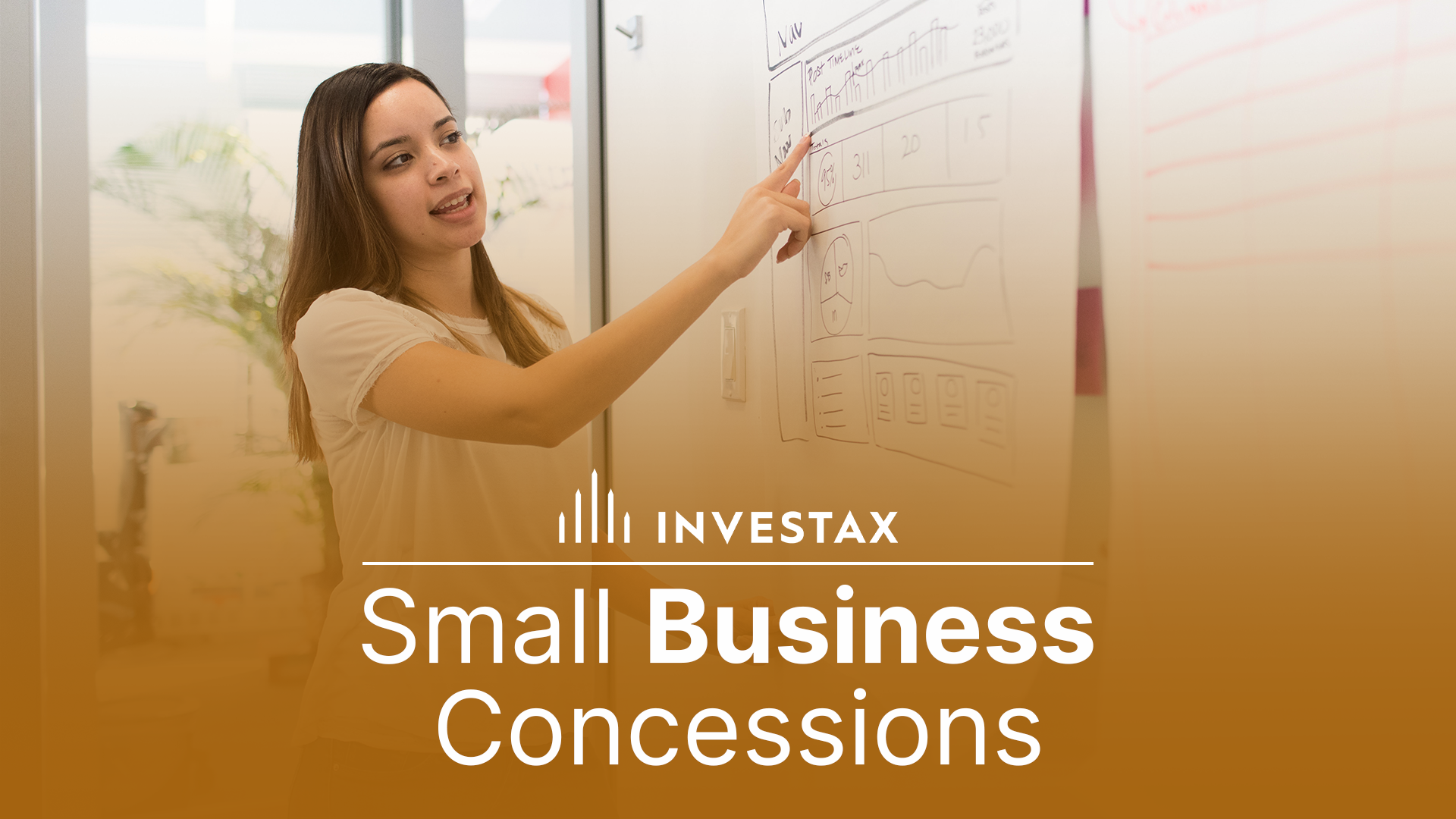 Small Business Concessions Investax